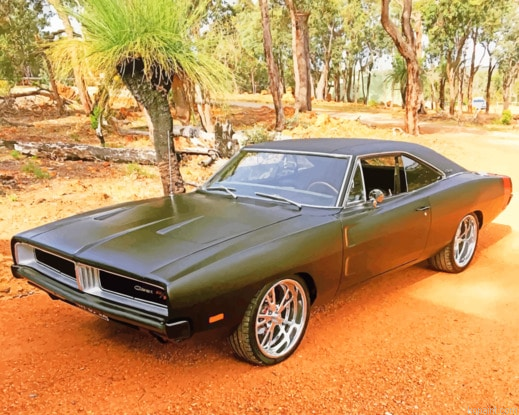 1969 Dodge Charger Matte Black New Painting By Numberss.png