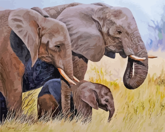 3 Elephants Family Painting By Numberss.png