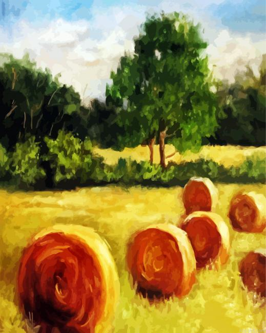 Aby Bales Art Paint By Numbers.png
