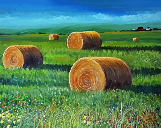 Aby Balese In Farmland Paint By Numbers.png