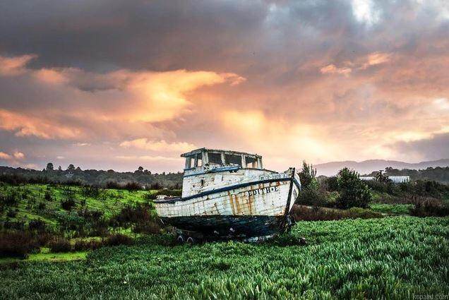 Abandoned Boat In A Field Painting By Numberss.png