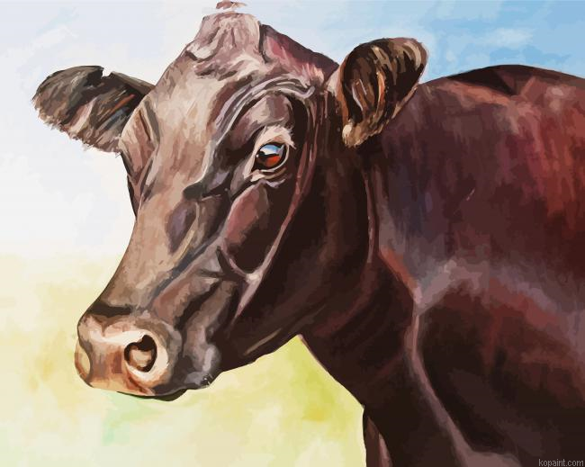 Aberdeen Angus Cattle Paint By Numbers.png