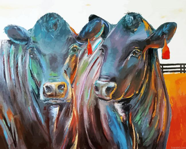 Aberdeen Angus Cows Paint By Numbers.png