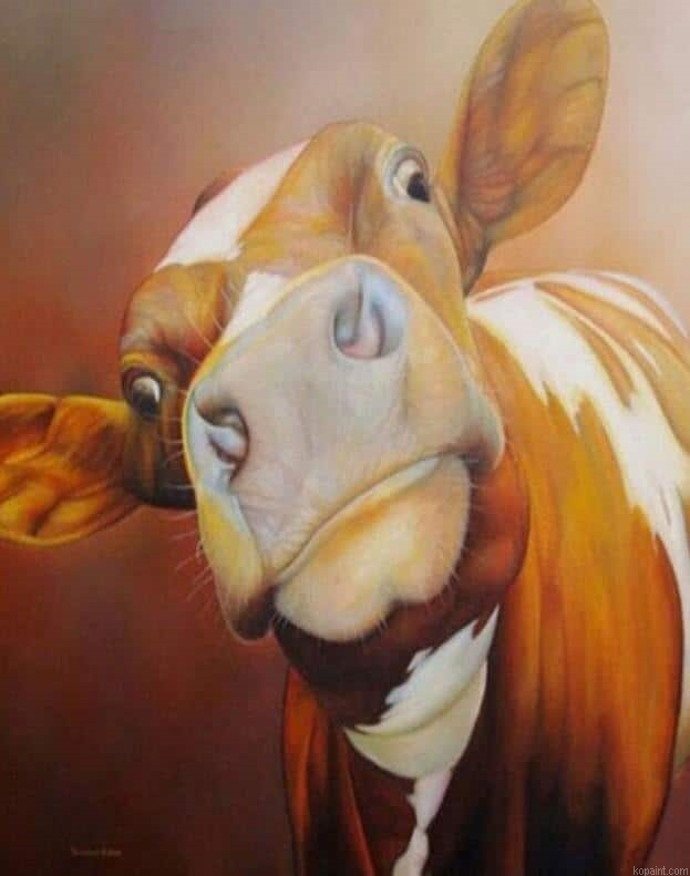 Abstract Cow Animals Painting By Numberss.png
