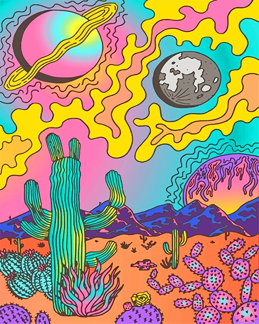 Abstract Hippie New Painting By Numberss.png