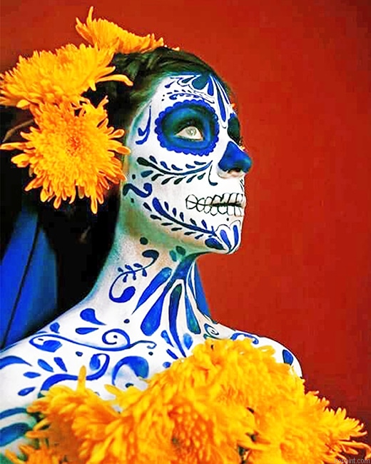 Abstract Skull Woman New Painting By Numberss.png