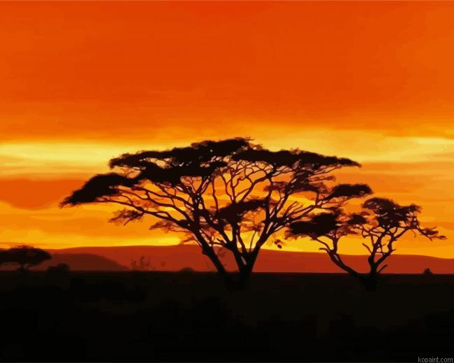 Acacia Tree At Susnet Painting By Numberss.png