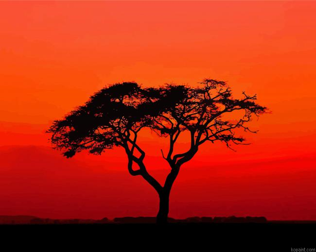 Acacia Tree Susnet Silhouette Painting By Numberss.png