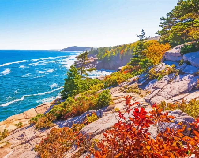 Acadia National Park Painting By Numberss.png