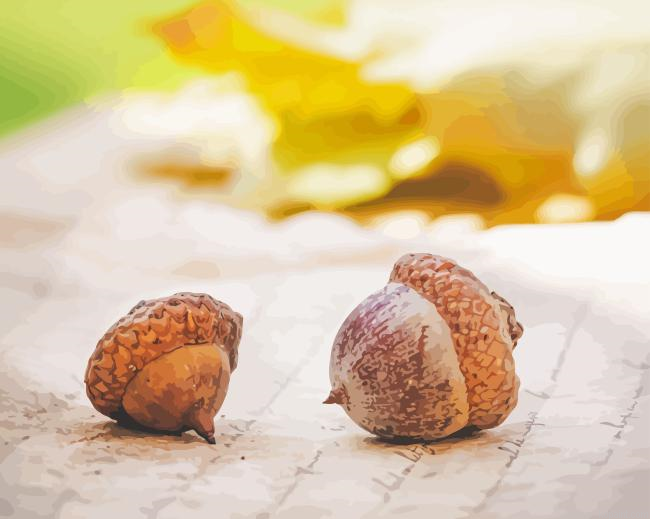 Acorn Food Painting By Numberss.png