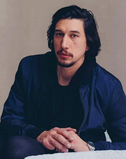 Adam Driver New Painting By Numberss.png