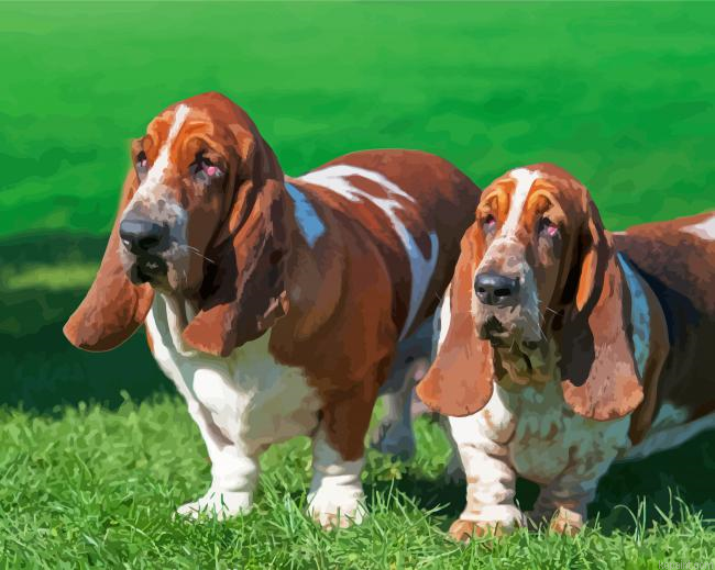 Adorable Basset Hounds Painting By Numberss.png