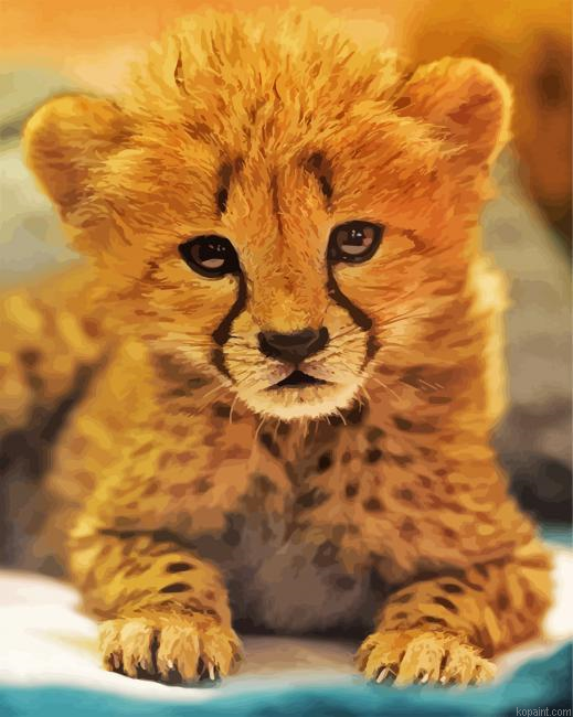 Adorable Cheetah Painting By Numberss.png