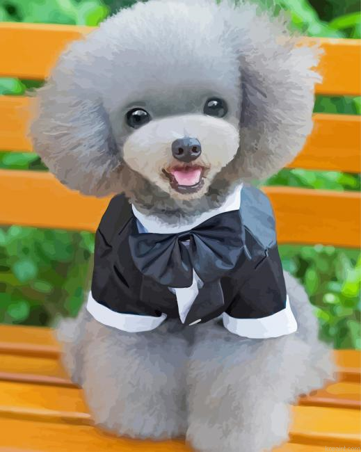Adorable Dog With Suit Painting By Numberss.png