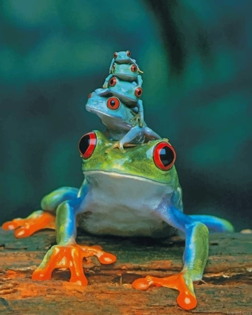Adorable Frogs New Painting By Numberss.png