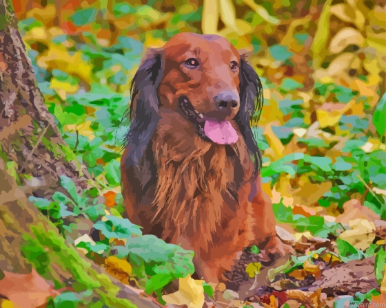Adorable Irish Setter In Leaves Painting By Numberss.png