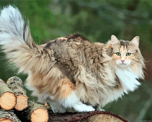 Adorable Norwegian Forest Cat Painting By Numberss.png