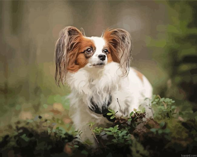 Adorable Papillon Dog Painting By Numberss.png