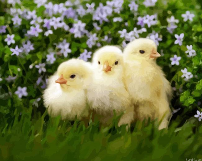 Adorable Poussine Birds Painting By Numberss.png