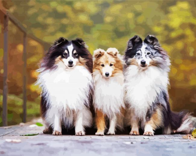 Adorable Sheepdog Animal Painting By Numberss.png