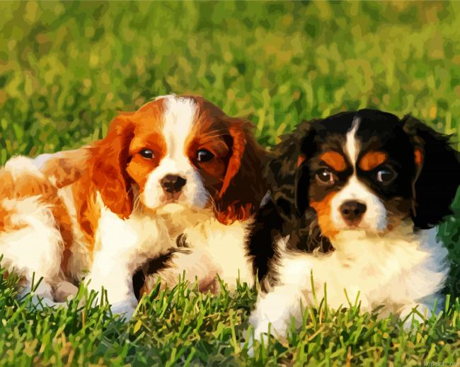 Adorable Spaniel Dogs Painting By Numberss.png