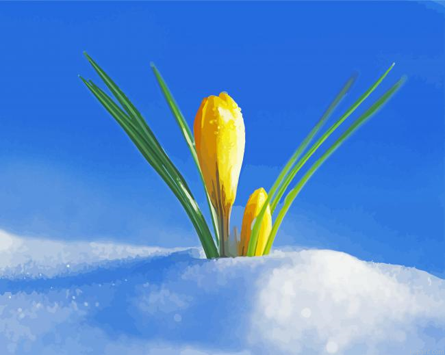 Adorable Spring Flower In Snow Painting By Numberss.png