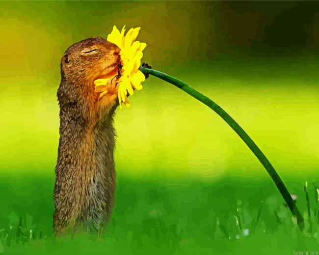 Adorable Squirrel Flower Painting By Numberss.png
