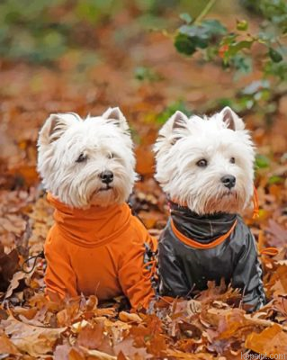 Adorable Westie Dogs Painting By Numberss.png