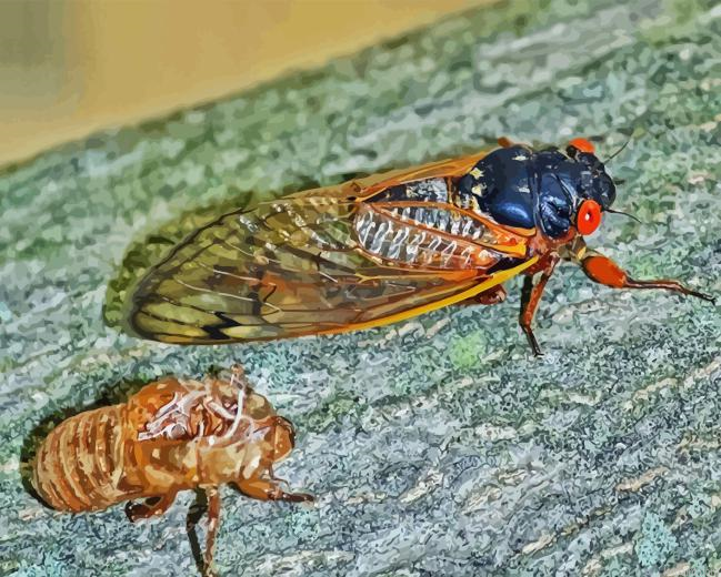 Adult Cicadas Painting By Numberss.png