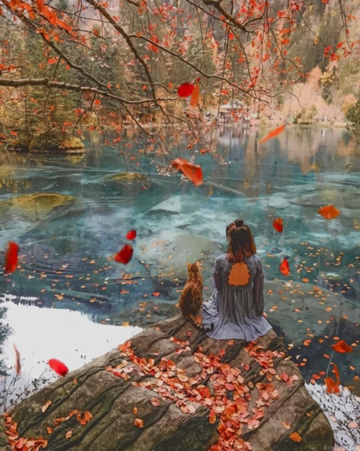 Adventurous Girl With Her Cat New Painting By Numberss.png