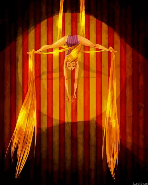 Aerial Hoop Pole Dancing Painting By Numberss.png