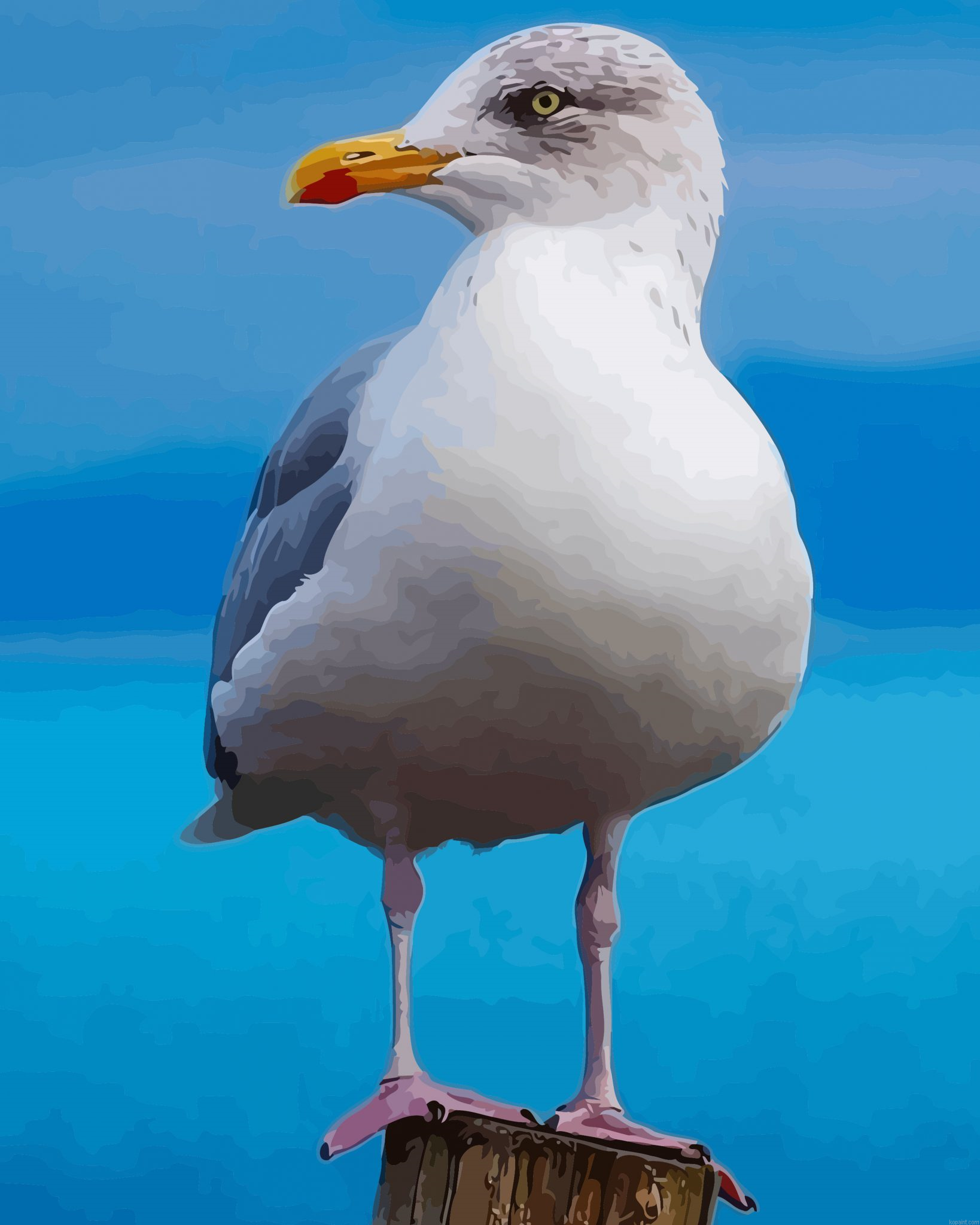 Aestehtic Seagull Bird Painting By Numberss.png