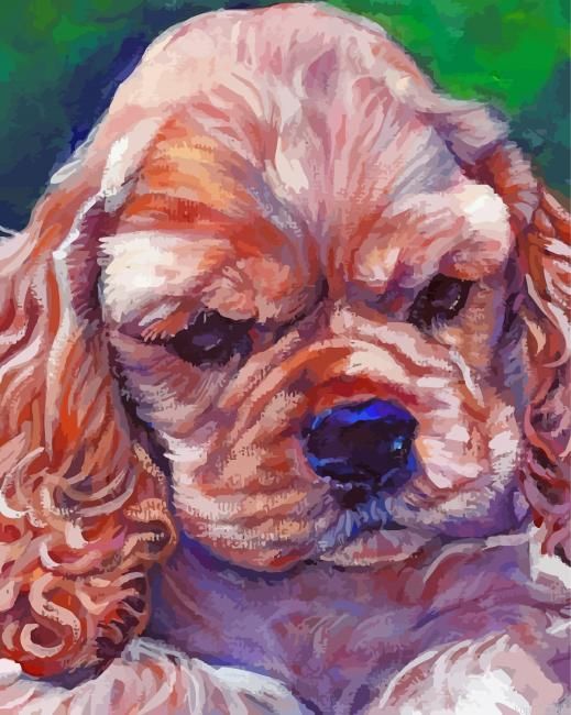 Aesthetic American Cocker Spaniel Art Painting By Numberss.png