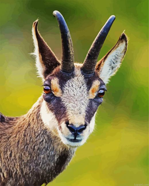 Aesthetic Animal Chamois Painting By Numberss.png