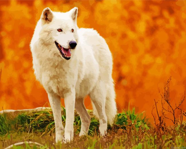 Aesthetic Arctic Wolf Animal Painting By Numberss.png