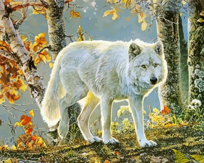 Aesthetic Arctic Wolf Painting By Numberss.png