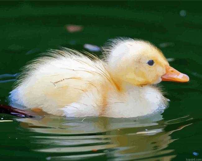 Aesthetic Baby Indian Runner Duck Painting By Numberss.png