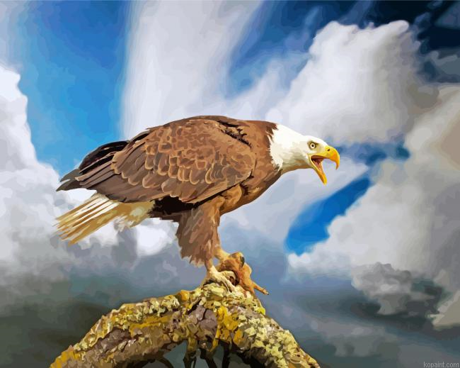 Aesthetic Bald Eagle Painting By Numberss.png