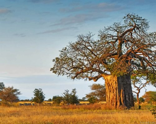 Aesthetic Baobab Tree Painting By Numberss.png