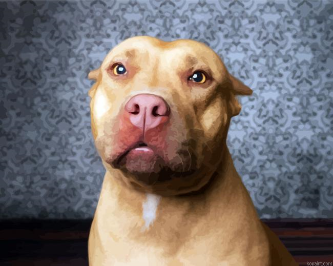Aesthetic Beige Pitbull Paint By Numbers.png