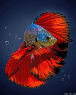 Aesthetic Betta Fish Painting By Numberss.png