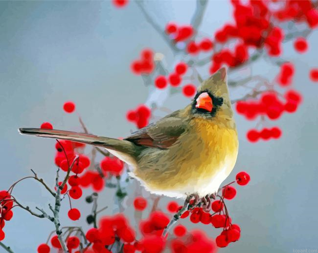 Aesthetic Bird And Red Berries Painting By Numberss.png