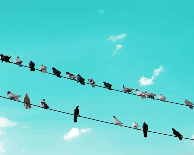 Aesthetic Birds On A Line Painting By Numberss.png