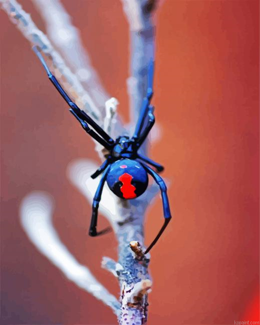 Aesthetic Black Widow Spider Paint By Numbers.png