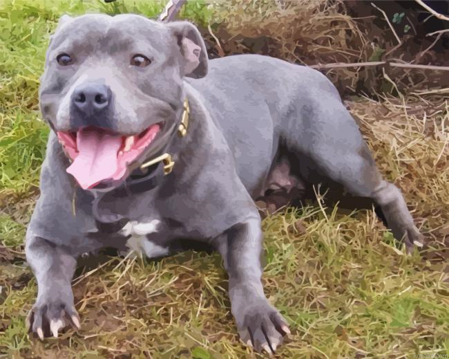 Aesthetic Blue Staffie Painting By Numberss.png