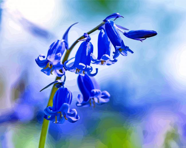 Aesthetic Bluebells Flower Painting By Numberss.png