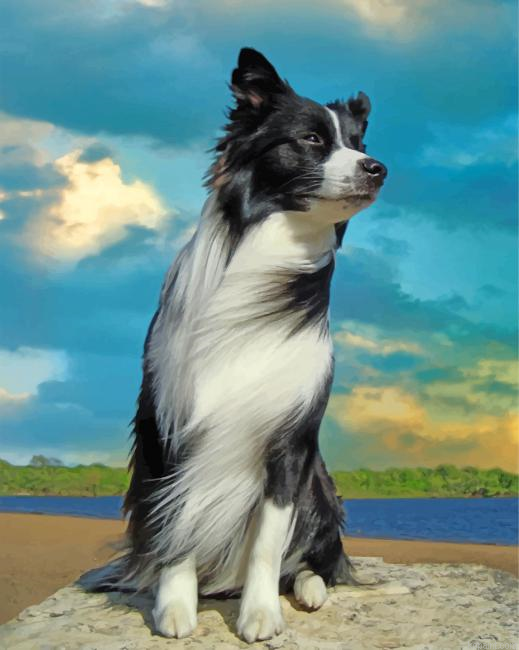 Aesthetic Border Collie Painting By Numberss.png