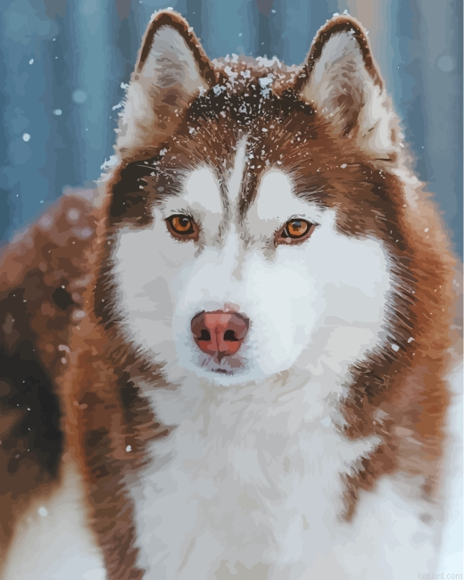 Aesthetic Brown Husky Snow Painting By Numberss.png
