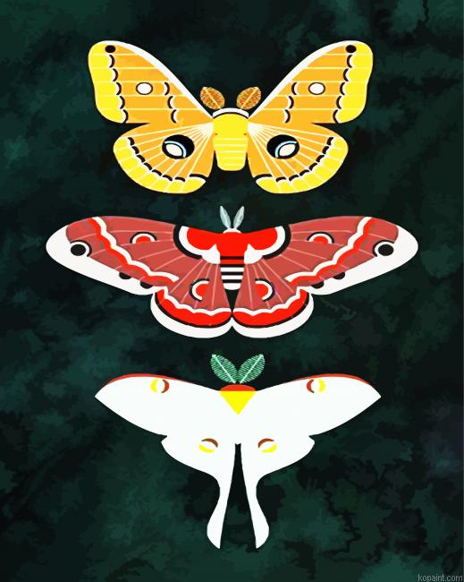 Aesthetic Butterflies Paint By Numbers.png