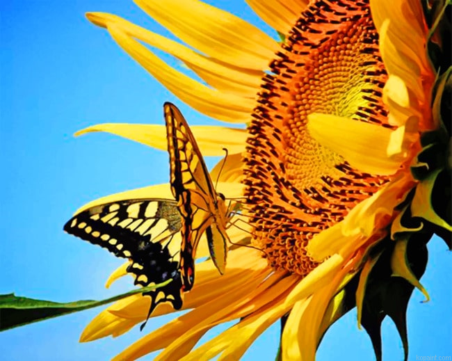 Aesthetic Butterfly And Flower Insects Painting By Numberss.png